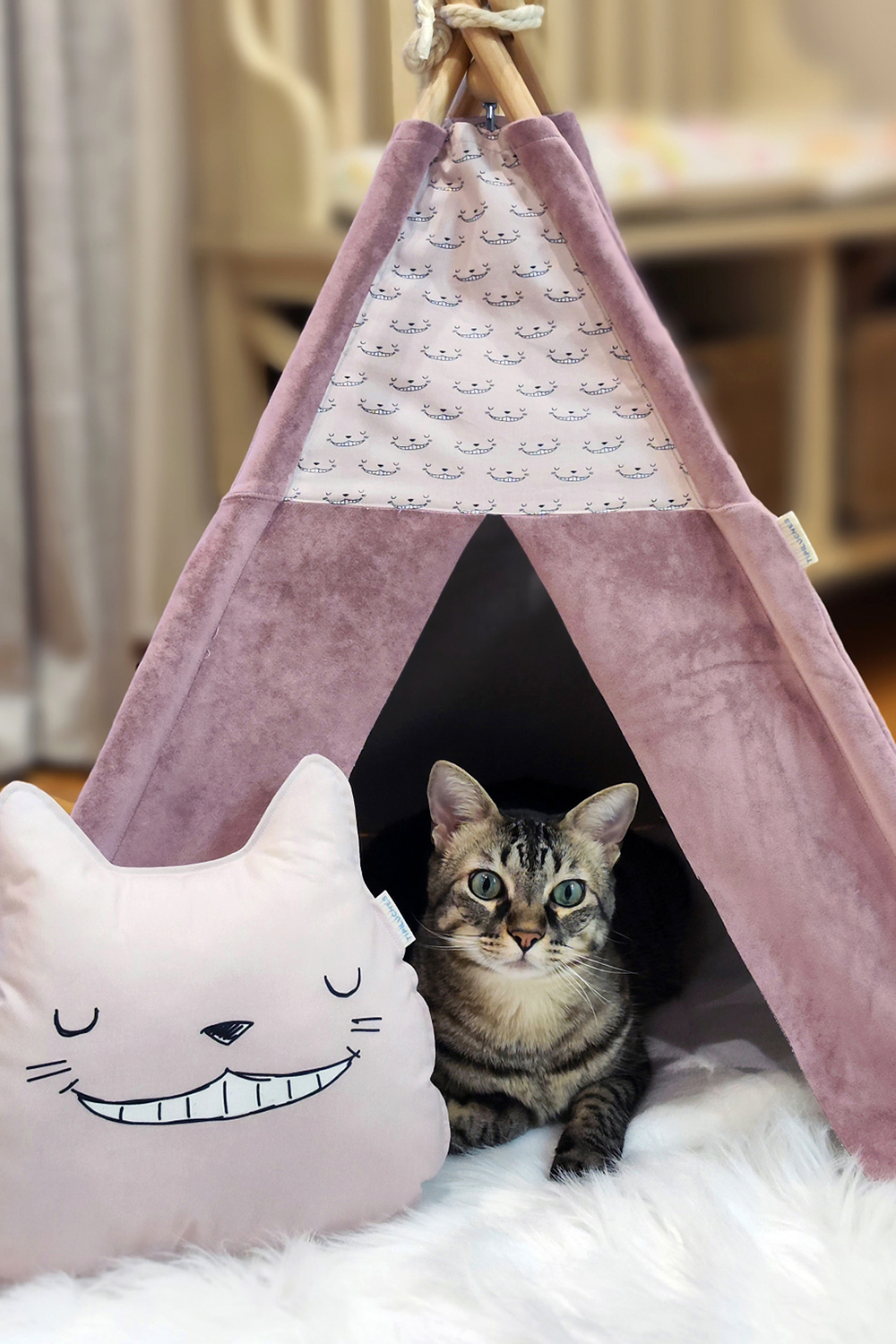 TIPI PARA MASCOTAS